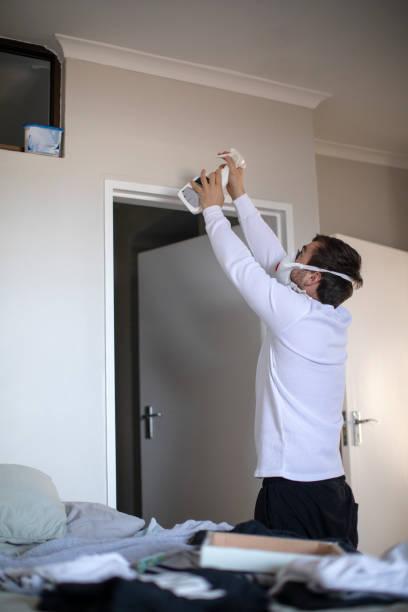 Mold Remediation for Vacation Homes in Kensington, CA