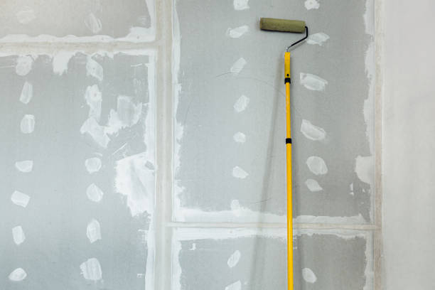 Biohazard Mold Removal in Kensington, CA
