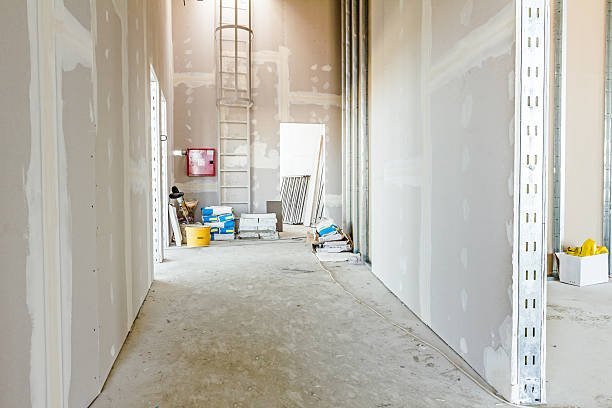 Asbestos and Lead Testing During Mold Inspection in Kensington, CA